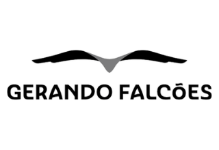 Logo ou ícone apoio_2e